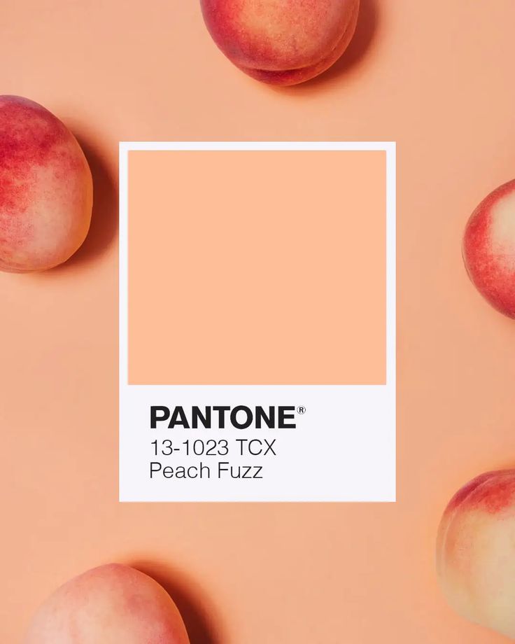 Mostrar el color Pantone Peach Fuzz 13-1023